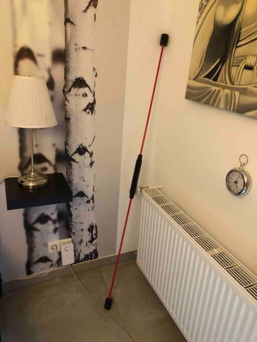 Willkommen Im Casa Felice, Der Wohlfuehl Oase Mit Balkon, 4 Betten Und Homeoffice Platz Aidlingen Dış mekan fotoğraf